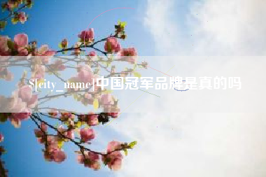 荆州中国冠军品牌是真的吗