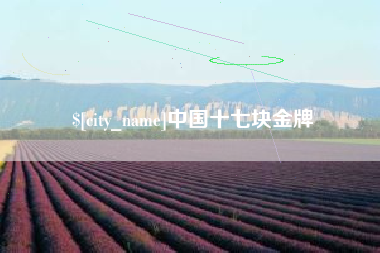 荆州中国十七块金牌
