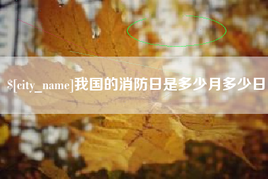 荆州我国的消防日是多少月多少日