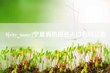 荆州宁夏消防报名入口官网公告