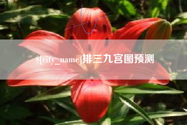 荆州排三九宫图预测