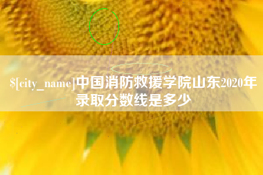 荆州中国消防救援学院山东2020年录取分数线是多少