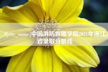 荆州中国消防救援学院2021年浙江省录取分数线