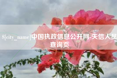 荆州中国执政信息公开网-失信人员查询页