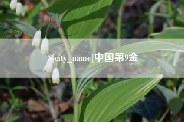荆州中国第9金