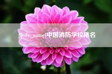 荆州中国消防学校排名