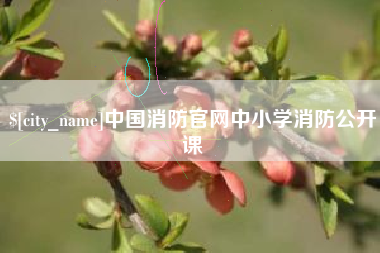 荆州中国消防官网中小学消防公开课