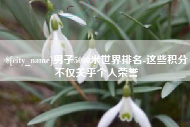荆州男子5000米世界排名-这些积分不仅关乎个人荣誉