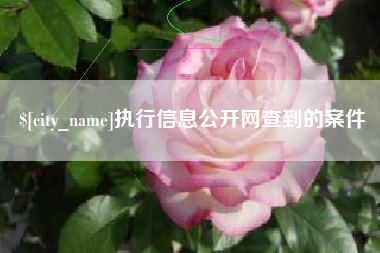 荆州执行信息公开网查到的案件