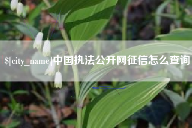 荆州中国执法公开网征信怎么查询