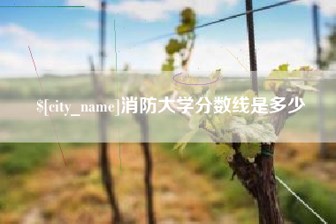 荆州消防大学分数线是多少