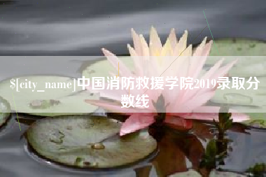 荆州中国消防救援学院2019录取分数线