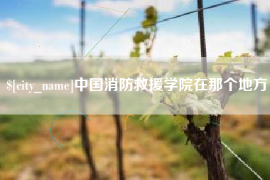 荆州中国消防救援学院在那个地方