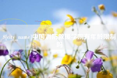 荆州中国消防救援学院有年龄限制吗