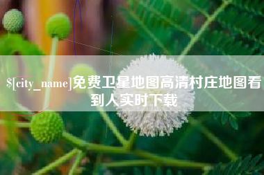 荆州免费卫星地图高清村庄地图看到人实时下载
