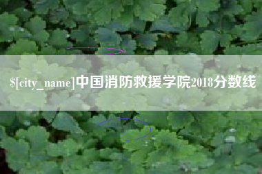 荆州中国消防救援学院2018分数线