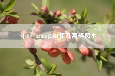 荆州2021年九宫格风水