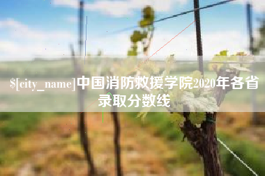 荆州中国消防救援学院2020年各省录取分数线
