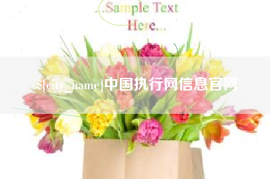 荆州中国执行网信息官网
