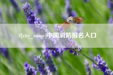 荆州中国消防报名入口
