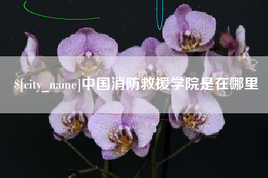 荆州中国消防救援学院是在哪里