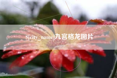 荆州九宫格龙图片