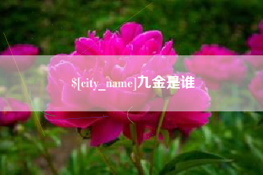 荆州九金是谁