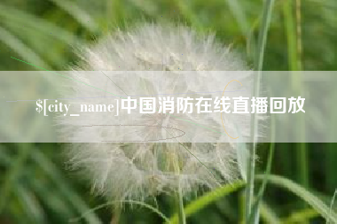 荆州中国消防在线直播回放