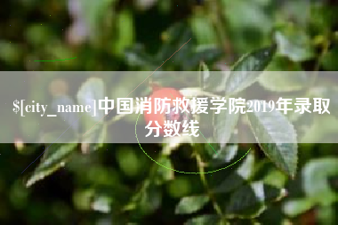 荆州中国消防救援学院2019年录取分数线