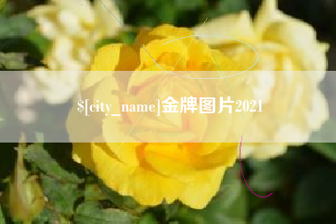 荆州金牌图片2021