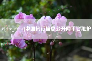 荆州中国执行信息公开网平台维护