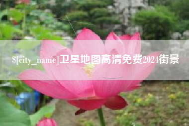 荆州卫星地图高清免费2024街景