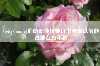 荆州消防职业技能证书查询以前能查现在查不到