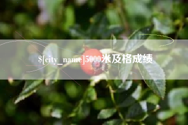 荆州5000米及格成绩