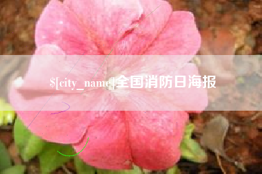 荆州全国消防日海报