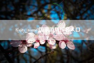 荆州国家消防报名入口