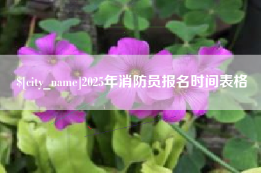 荆州2025年消防员报名时间表格