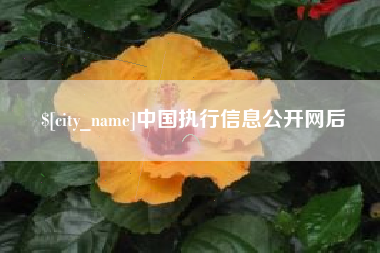 荆州中国执行信息公开网后