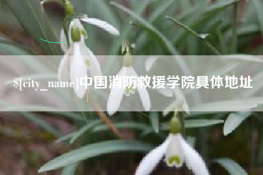 荆州中国消防救援学院具体地址