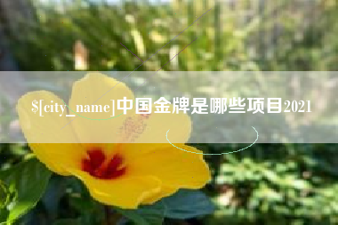 荆州中国金牌是哪些项目2021