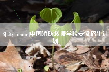 荆州中国消防救援学院安徽招生计划
