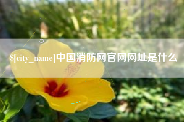 荆州中国消防网官网网址是什么