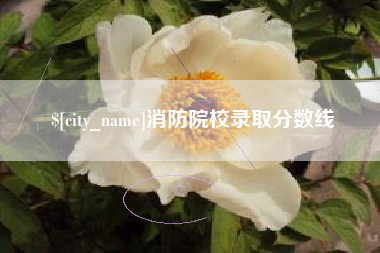 荆州消防院校录取分数线