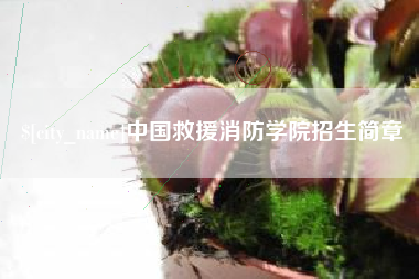 荆州中国救援消防学院招生简章