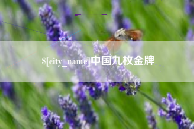 荆州中国九枚金牌