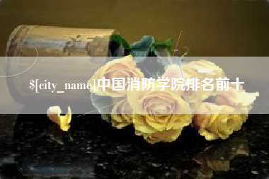 荆州中国消防学院排名前十