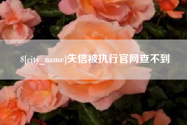 荆州失信被执行官网查不到
