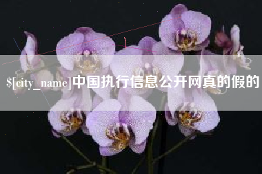 荆州中国执行信息公开网真的假的
