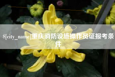荆州重庆消防设施操作员证报考条件