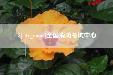 荆州全国消防考试中心